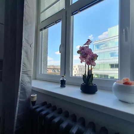 Metropolitan Next To Presidential Palace アパート *