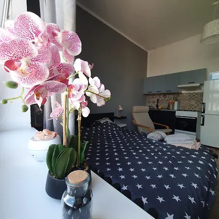 Metropolitan Next To Presidential Palace * ブラチスラヴァ