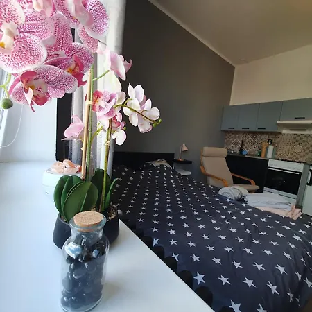 Metropolitan Next To Presidential Palace 公寓 布拉迪斯拉发