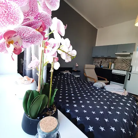 Metropolitan Next To Presidential Palace